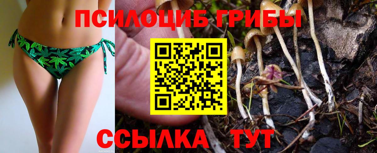 Галлюциногенные грибы ЛСД  Псилоцибиновые грибы Magic Shrooms  Вход с VPN  Карабулак 